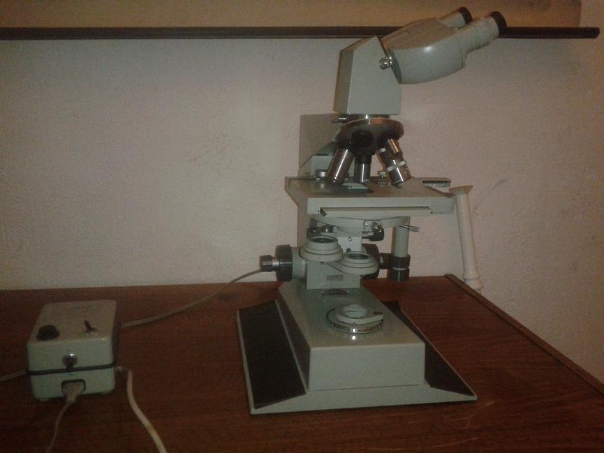 Bild 1 Mikroskop Car Zeiss Jena zu verkaufen