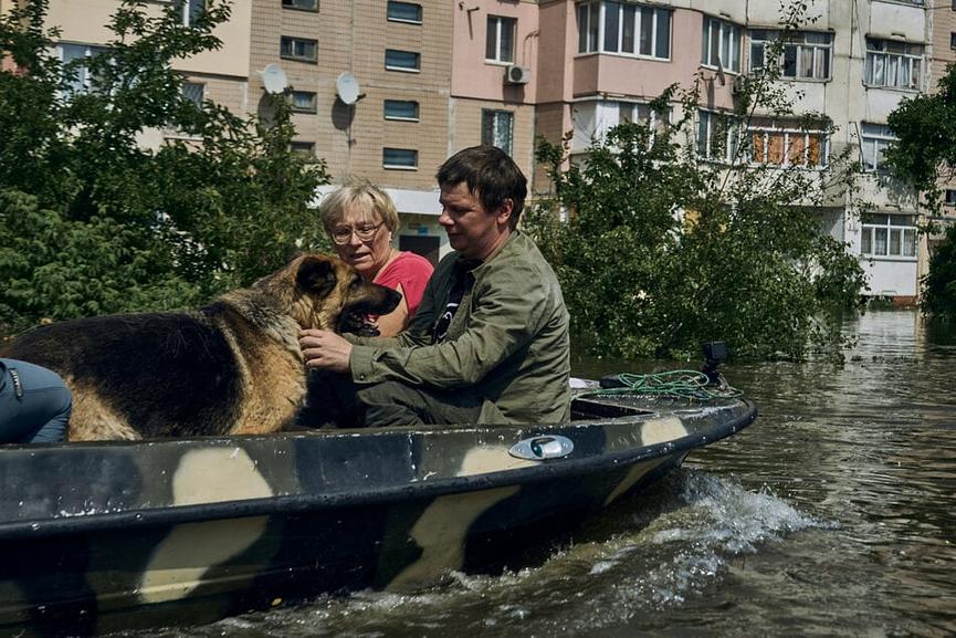 Bild 1 Spendenaufruf für die Tiere in der Ukraine #ANIMALSDONTSTARTWARS