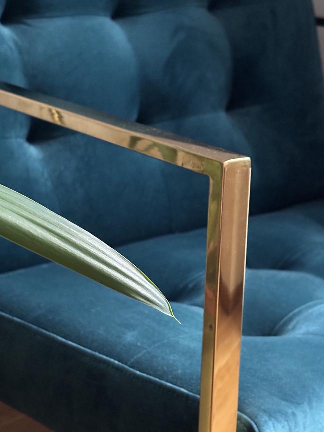 Bild 4 Samt-Loungesessel von WESTWING