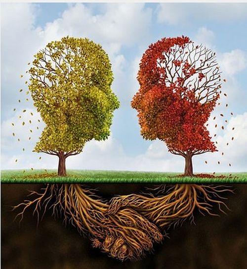 Bild 1 Heilerseminar im Allgäu 6 Tage mal ganz was anderes