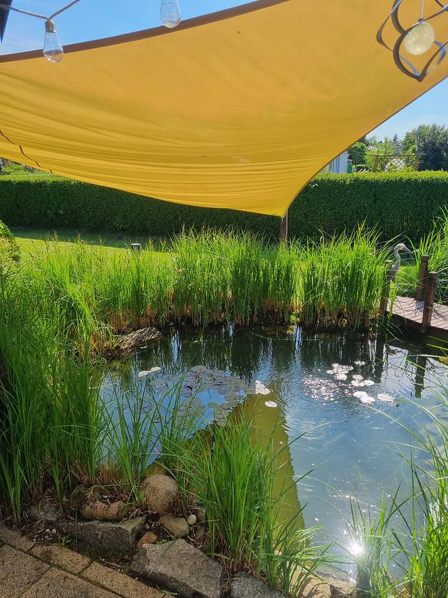 Bild 3 Verkaufe Kleingarten in Taucha mit Pool und Teich