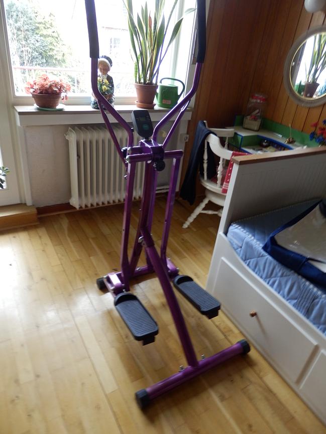 Bild 1 Crosstrainer Walken
