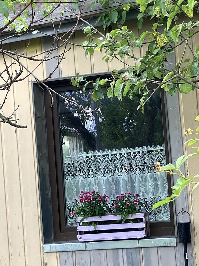 Bild 4 Garten zu verschenken !!