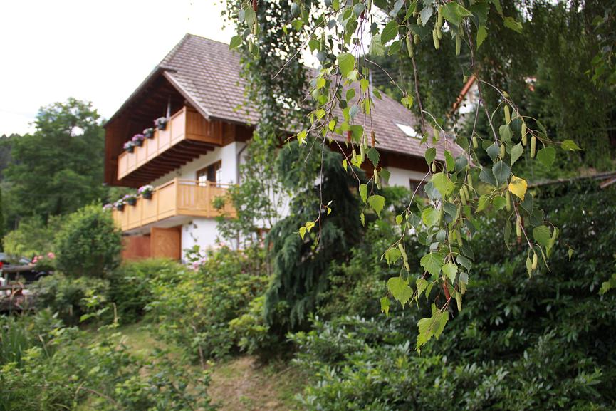 Bild 15 Schwarzwaldurlaub, Kinzigtal mittlerer Schwarzwald