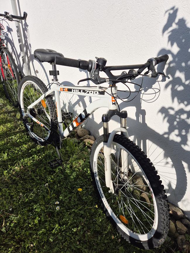 Bild 8 Stabiles Mountainbike – ideal für Wald- und Geländefahrten