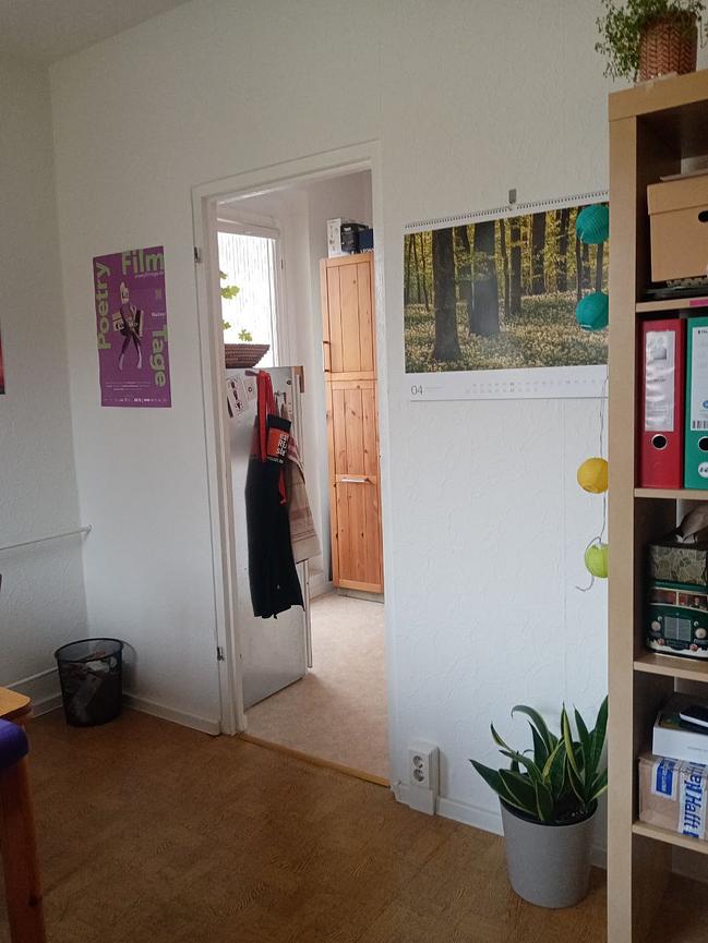 Bild 3 Zwischenmiete in gemütlicher Wohnung im Leipziger Osten - November bis Januar