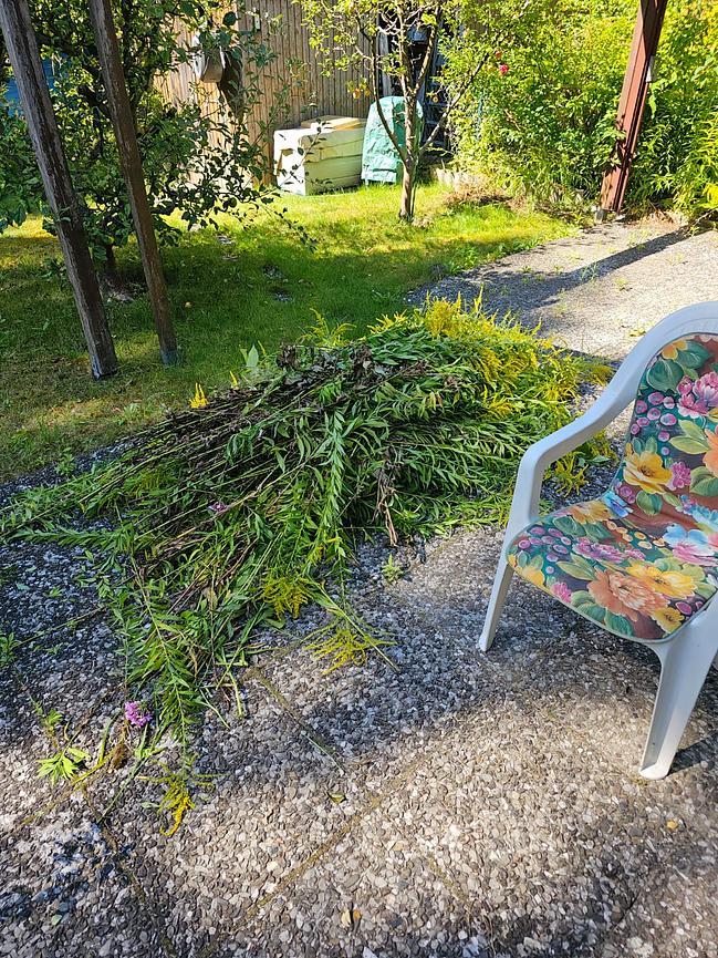 Bild 1 Gartenausverkauf