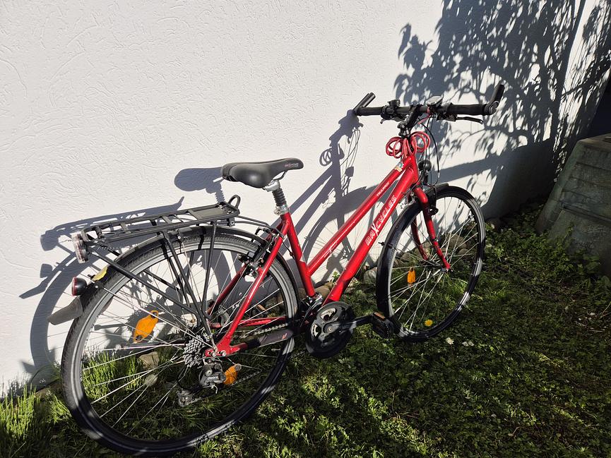 Bild 3 Maxcycles Traffix Damen-Trekkingrad