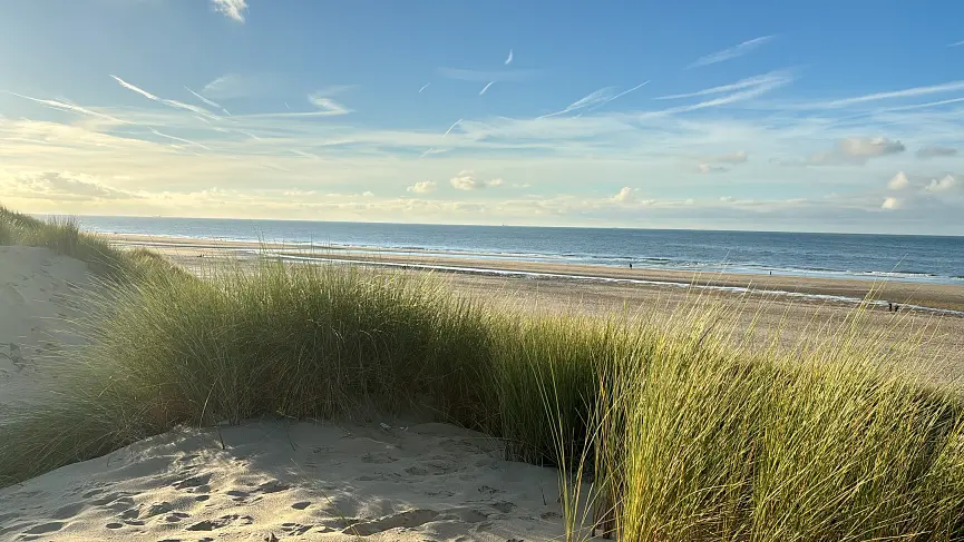Bild 2 4P. Feha zum mieten in Zeeland (NL) Sehr strandnah