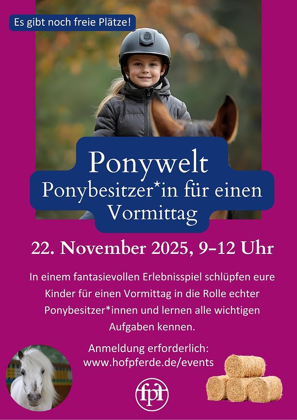 Bild 1 hofpferde Ponywelt - Ponybesitzer*in für einen Vormittag