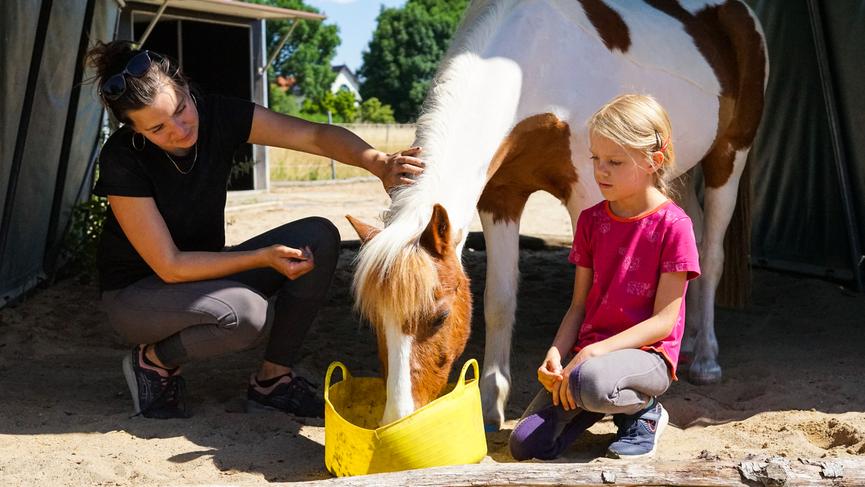 Bild 5 Rund ums Pony - Pferdezeit und reiten lernen für Kinder ab 4 Jahren