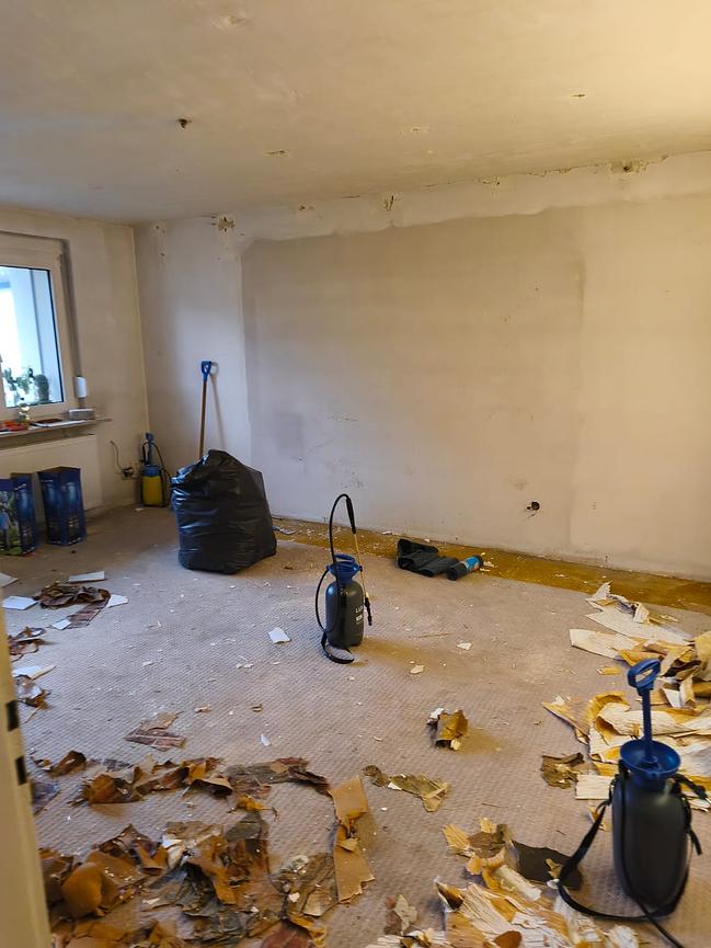 Bild 3 Umzug, Haushaltsauflösung, Entrümpelung, Transport I auch für jobcenter