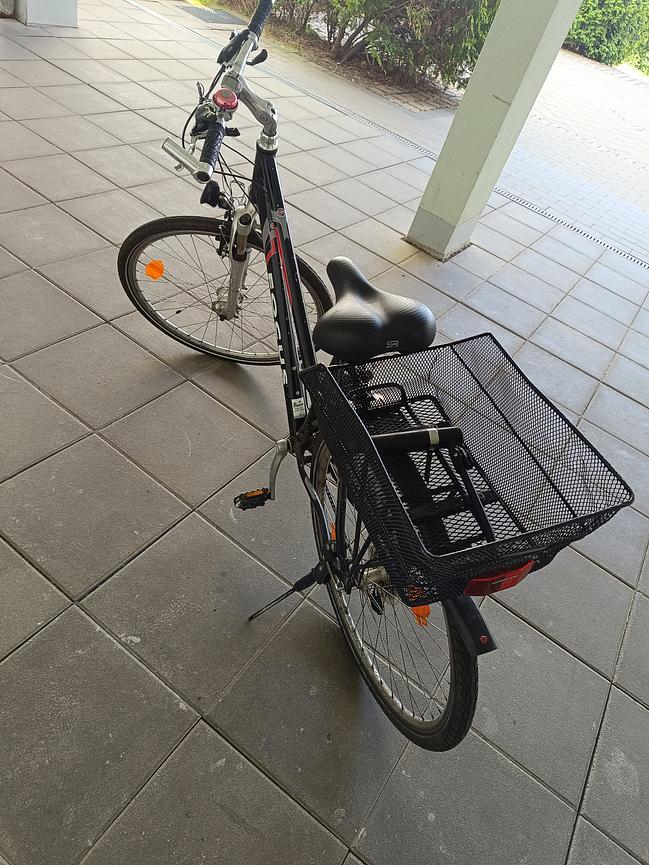 Bild 2 Fahrrad mit Korb (Focus)