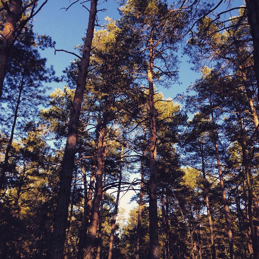 Bild 1 Guten Tag lieber Unbekannter.