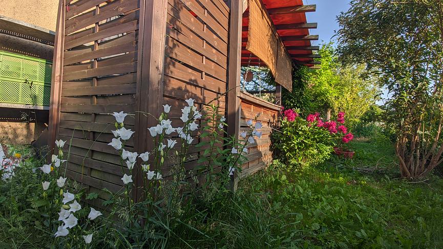 Bild 3 Garten in Leipzig-Möckern mit eigenem Brunnen