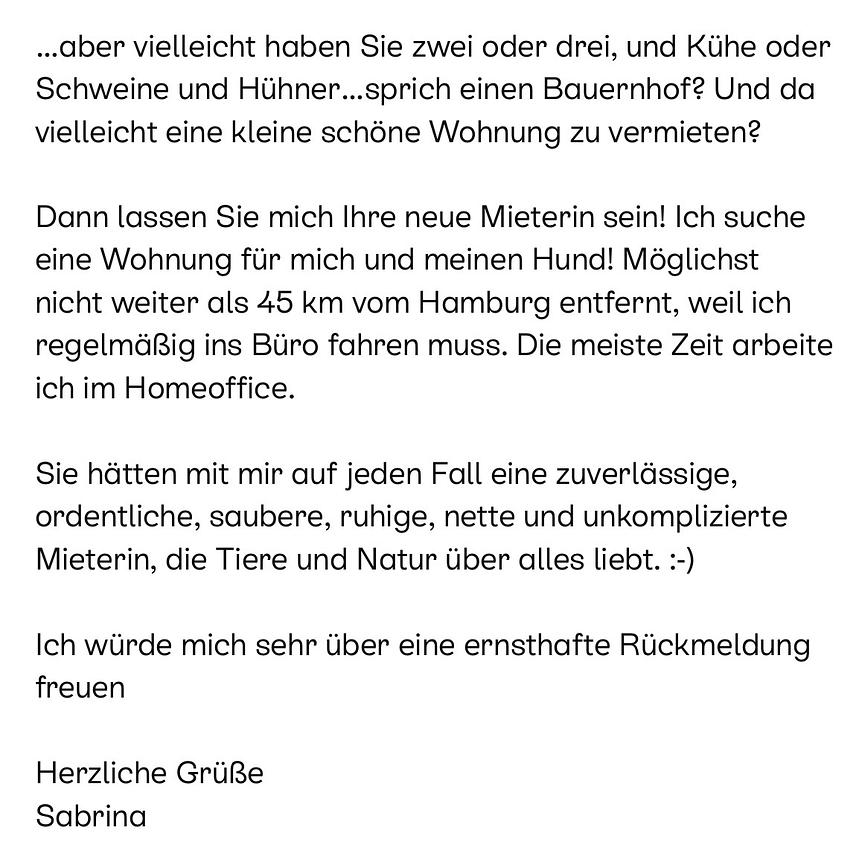 Bild 2 Keine 10 Pferde…