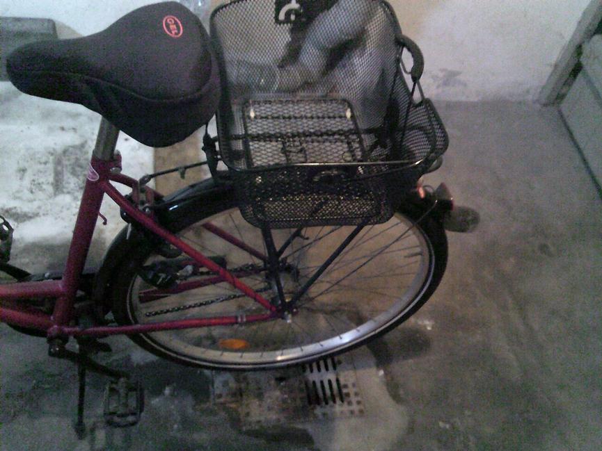 Bild 5 Damenrad, Sportrad, Seniorenrad, Drahtesel, + 3-Gang bicycle +3-speed 28er