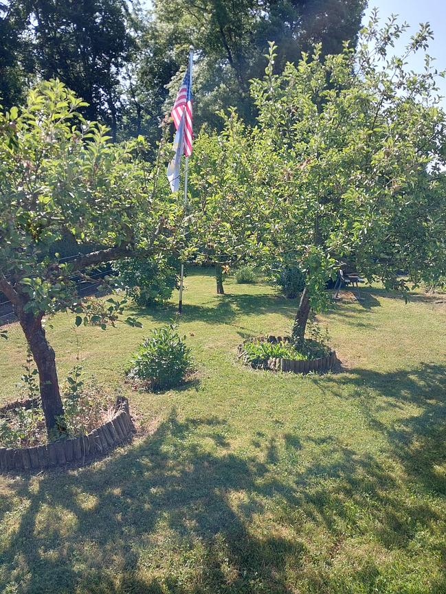 Bild 11 Kleingarten 520m² im Süden von Apolda