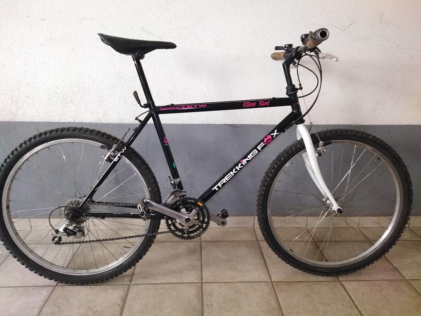 Bild 3 Mit viel Liebe und Know How aufgebautes 90er Jahre MTB