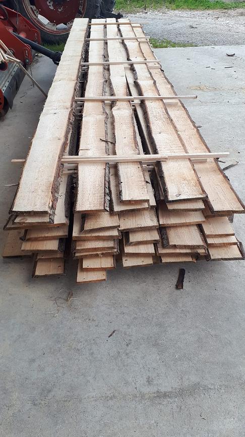 Bild 2 📏 Breite: ca. 10 bis 25 cm  💶 Preis pro Stück: 4 €