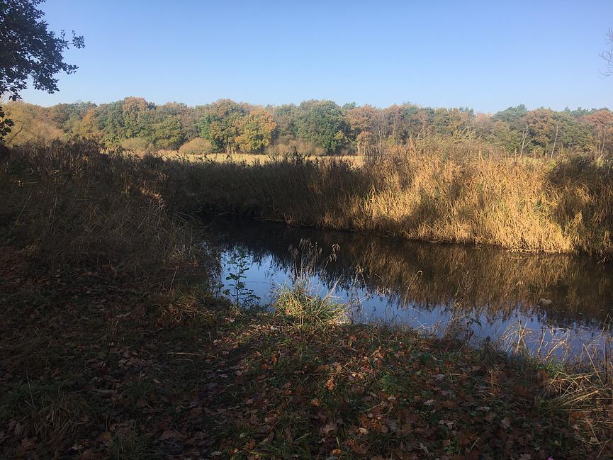 Bild 54 WER ERHOLUNG IN DER NATUR SUCHT, IST HIER GENAU RICHTIG