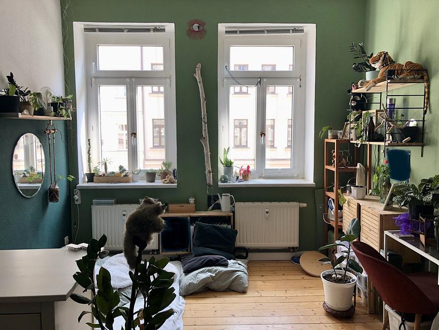 Bild 7 2 Zimmer in 3er WG frei ab Mitte Dez./Anfang Januar