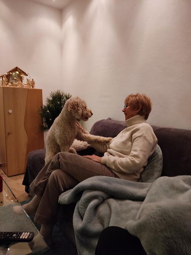 Bild 5 Highboard und Lowboard