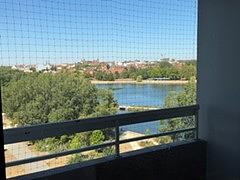 Bild 2 1-Zimmer-Appartement zentrumsnah in Nürnberg zu vermieten