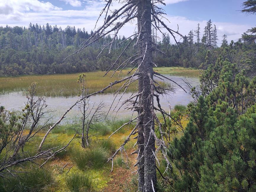 Bild 4 Mit Naturerlebniswanderungen neue Kräfte finden ...