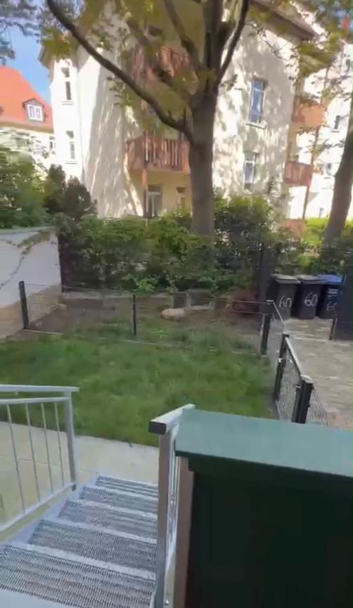 Bild 9 WG Zimmer in gemütlicher 2 Raum Wohnung
