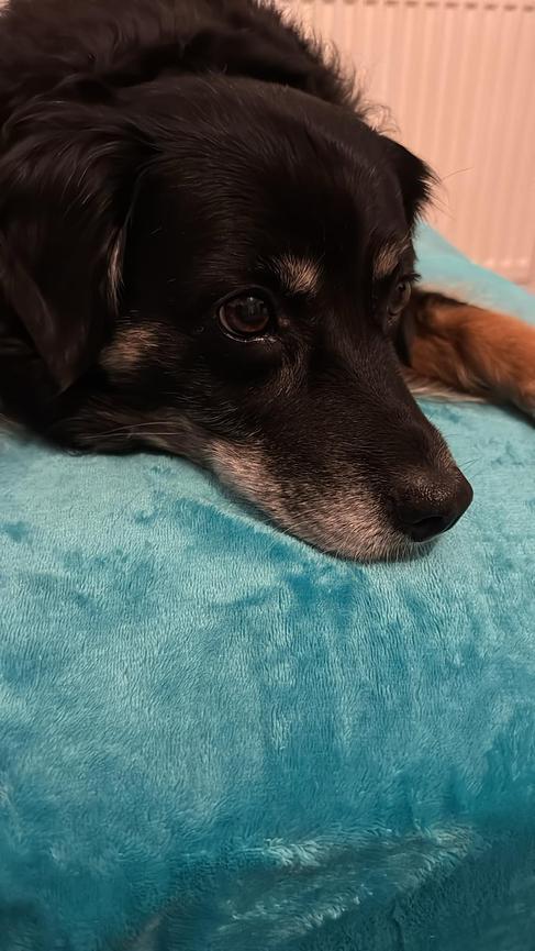 Bild 1 Persönliche Assistenz in Leipzig gesucht voraussichtlich 24h - 30h pro Woche.