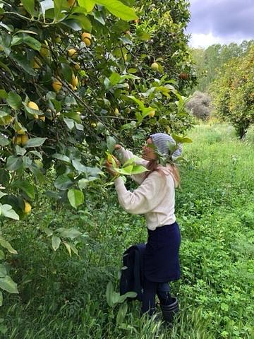 Bild 6 🪷 PARADIES-FARM SUCHT HELFER'INNEN IM GRÜNEN, WARMEN ANDALUSIEN 🪷