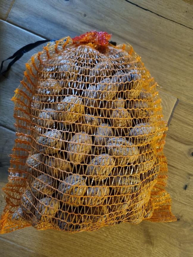 Bild 1 Bio Walnüsse aus eigener Obstwiese
