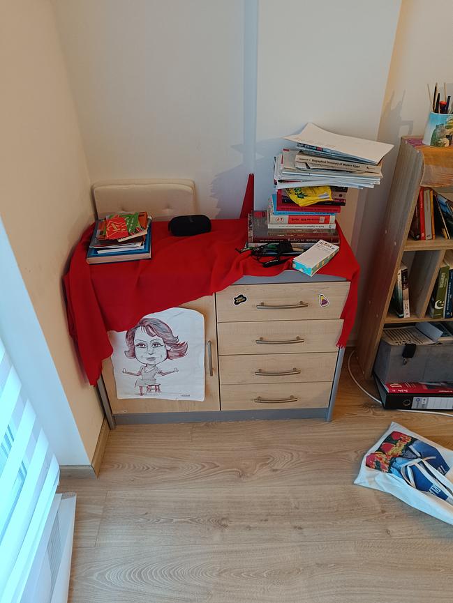 Bild 1 Holzschrank