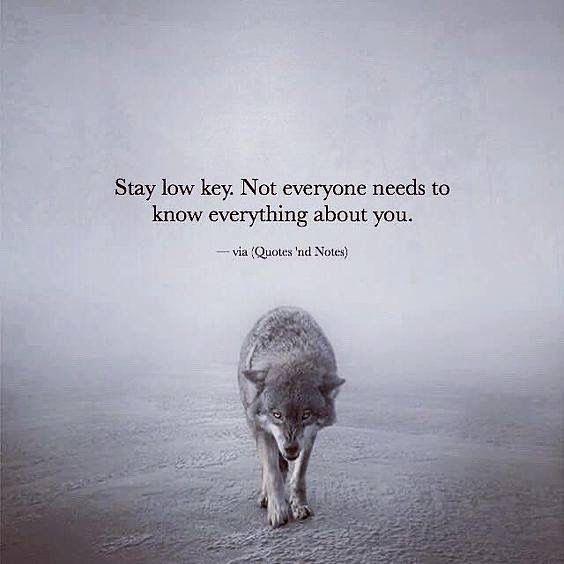 Bild 1 Grosser Bücher verkaufen