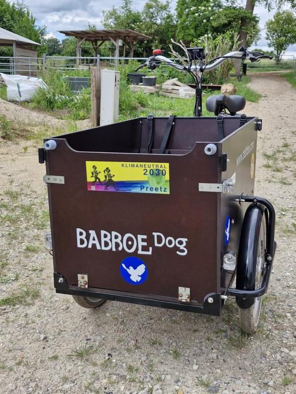 Bild 3 Babboe Dog-E Lastenrad, wenig gefahren, frisch inspiziert, mit Kindersitzbank