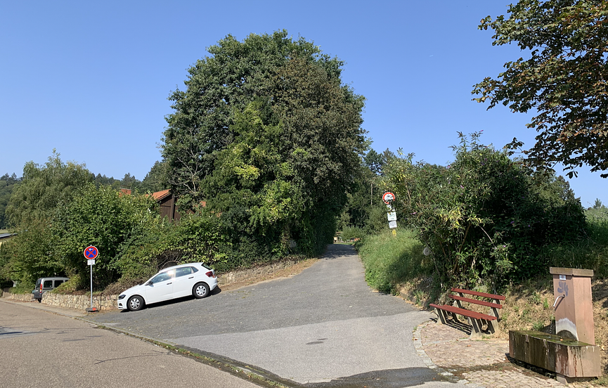 Bild 3 Mitbewohner:in gesucht: Wochenend- und Ferienhaus mit Garten am Tor zum Odenwald