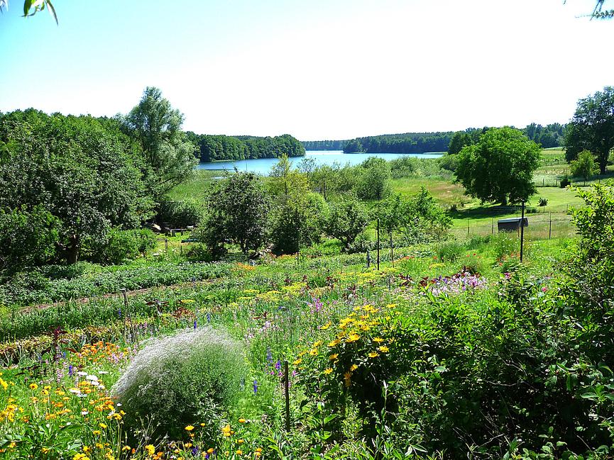 Bild 4 Urlaub Ferienhaus Bungalow Ferienwohnung in Carwitz am See Feldberger Seenplatte