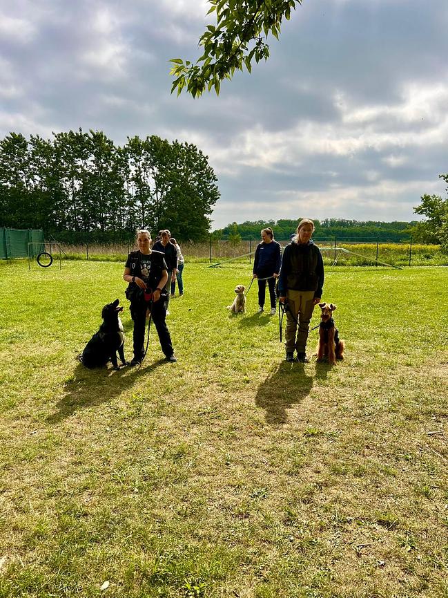 Bild 8 Hundeschule und Hundepension für Berlin und Brandenburg