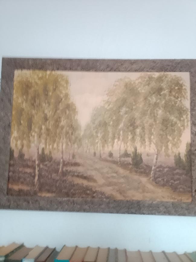 Bild 1 Bild vom Maler Dobesch für 200 Euro!