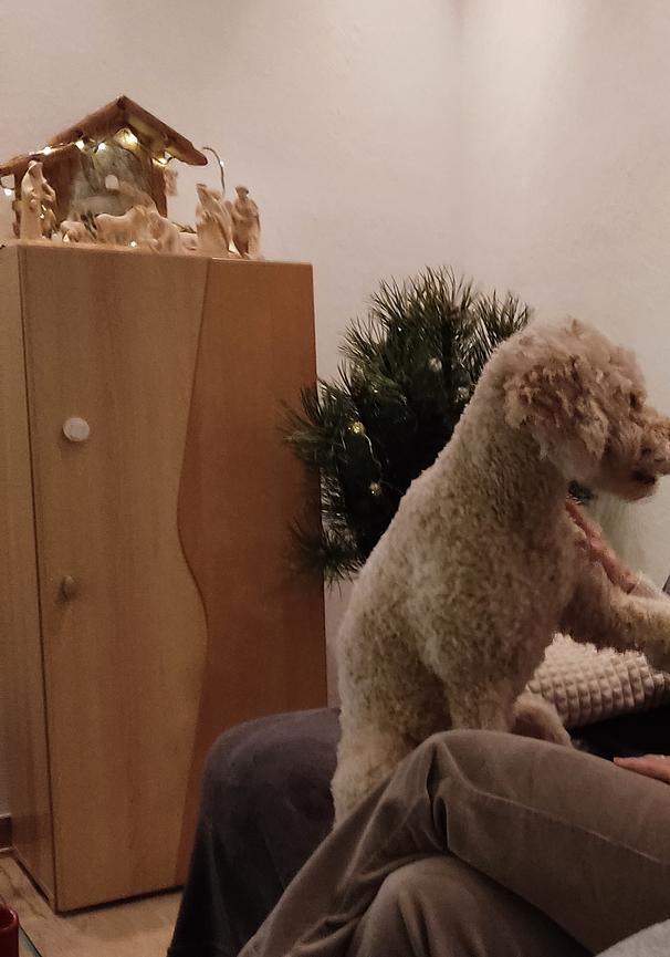 Bild 4 Highboard und Lowboard