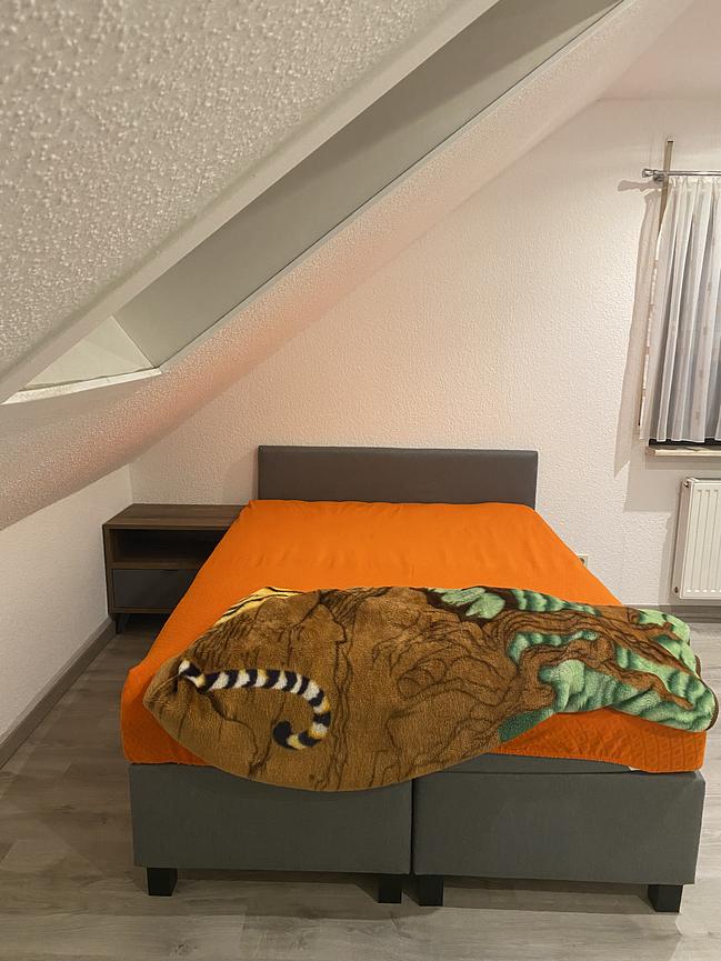 Bild 3 Zimmer ab Mitte September 2025 zu vermieten