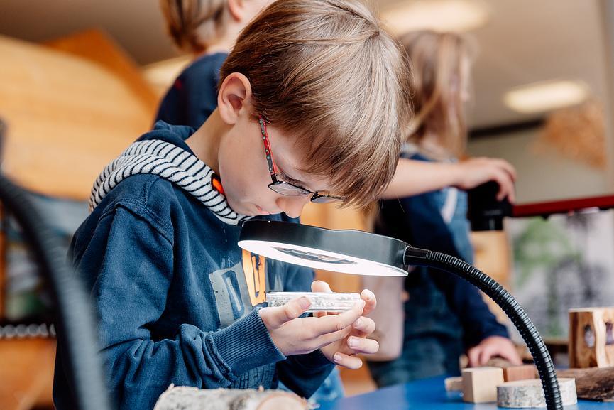 Bild 2 Mitarbeiter (m/w/d) Kindermitmachausstellung „ALLES HOLZ“