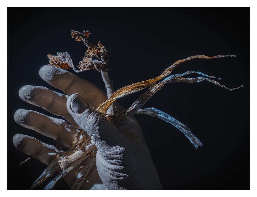 Bild 3 Menschen für künstlerisches Fotoprojekt gesucht (Ausstellung)