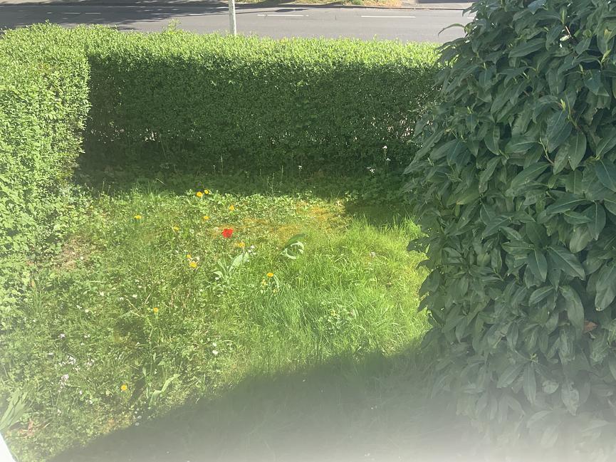 Bild 1 Frauen WG Zimmer 12m2 mit Garten zu vermieten in Bonn-Rüngsdorf Konstantinstraße