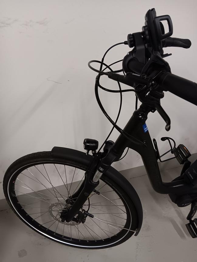 Bild 2 E-Bike Viktoria trekking