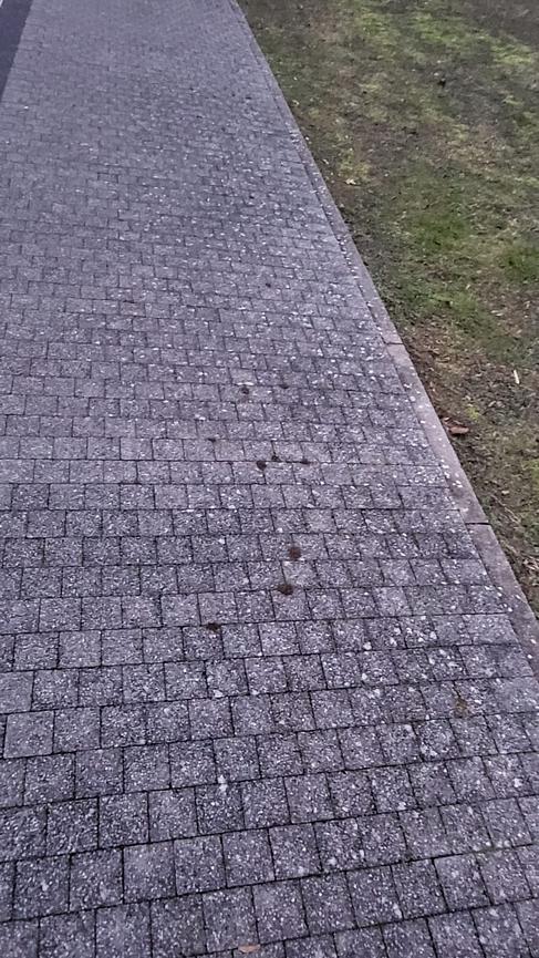 Bild 7 Tiefbauarbeiten