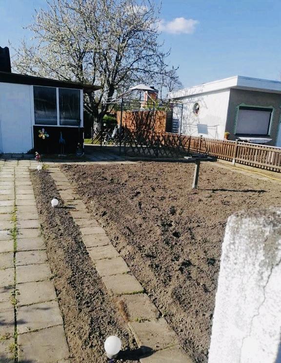 Bild 3 Kleingarten in Leipzig-Lindenau zu verkaufen