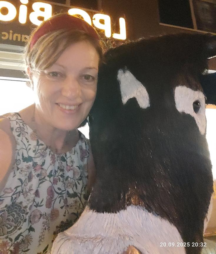 Bild 1 Wohnraum für mich zur Miete