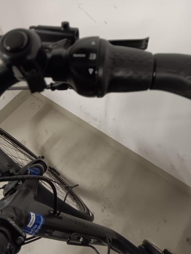 Bild 7 E-Bike Viktoria trekking